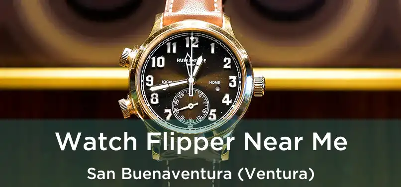 Watch Flipper Near Me San Buenaventura (Ventura)